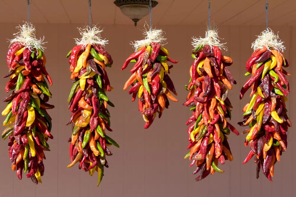 The famed New Mexican Chiles, a popular ingredient used at the best restaurants in Albuquerque