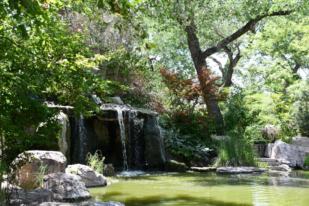 A waterfall feature at the ABQ BioPark