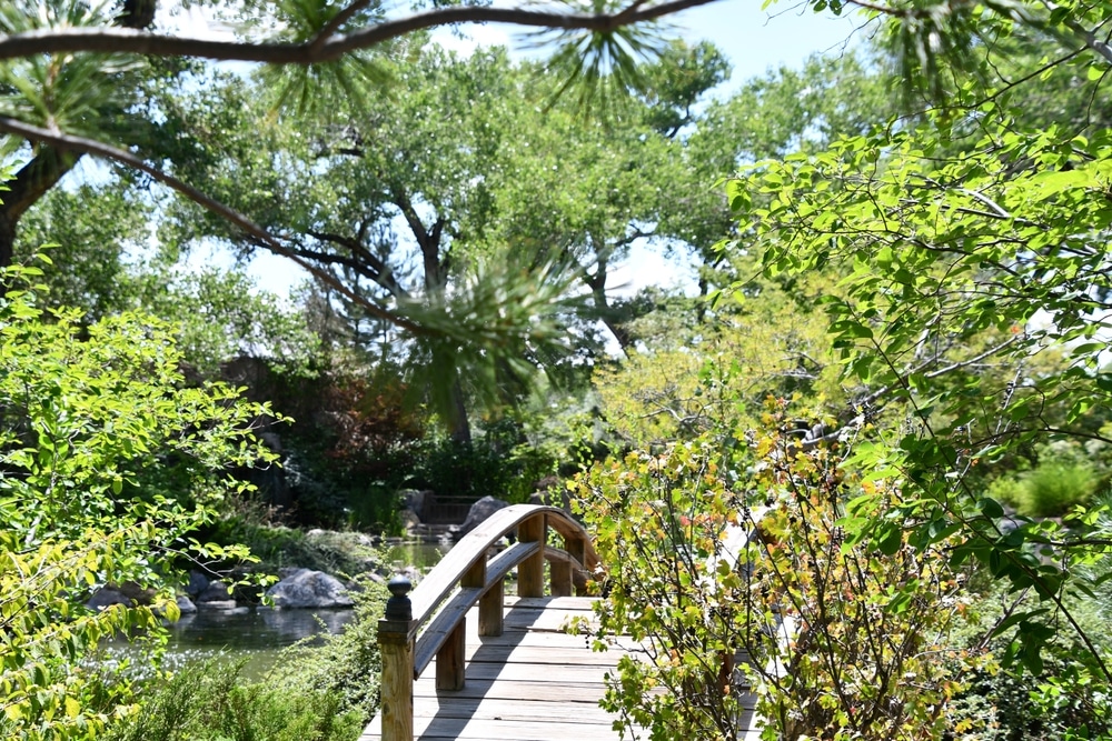 A footbridge and beautiful gardens at the popular ABQ BioPark