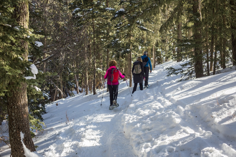 Snowshoeing at Sandia Crest - one of the best things to do in Albuquerque this winter