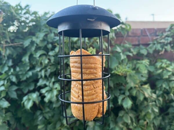 bird seed cylinders