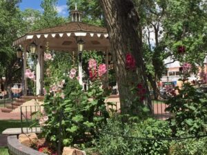 Albuquerque wedding