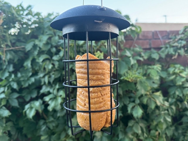 A cylindrical piece of suet or seed block hangs inside a black wire bird feeder cage against a leafy green backdrop.