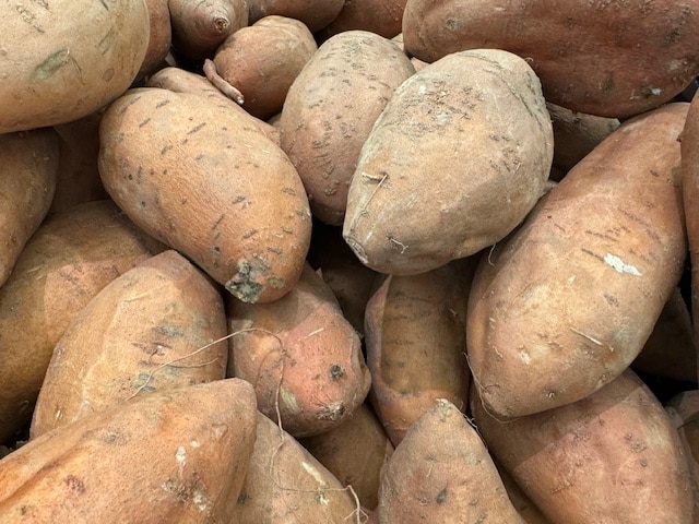 A close-up view of a large pile of raw sweet potatoes with brown, textured skin.